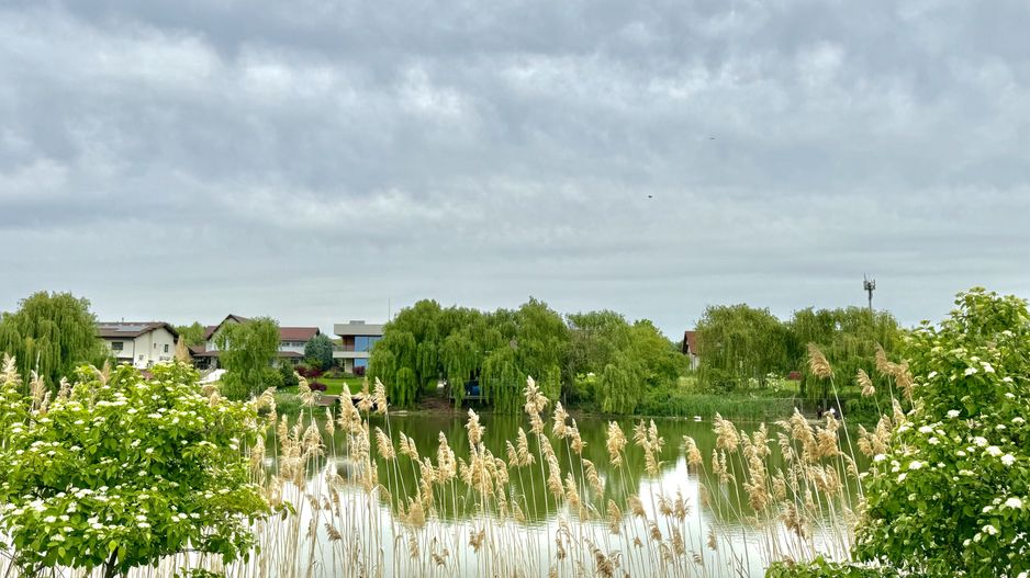 Proprietate deosebita deschidere lac Paradisul Verde Corbeanca - Poză 5