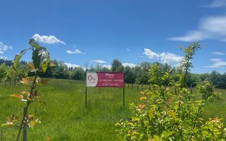 Teren intravilan de vânzare, în stațiunea Covasna. - Poză 4