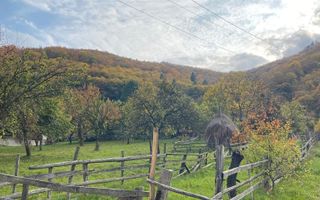 Casa + teren 1700 mp langa Padure Bran/ Predelut - Poză 14