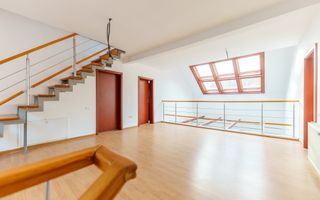 Vilă pentru investiții în Moneasa - Poză 8