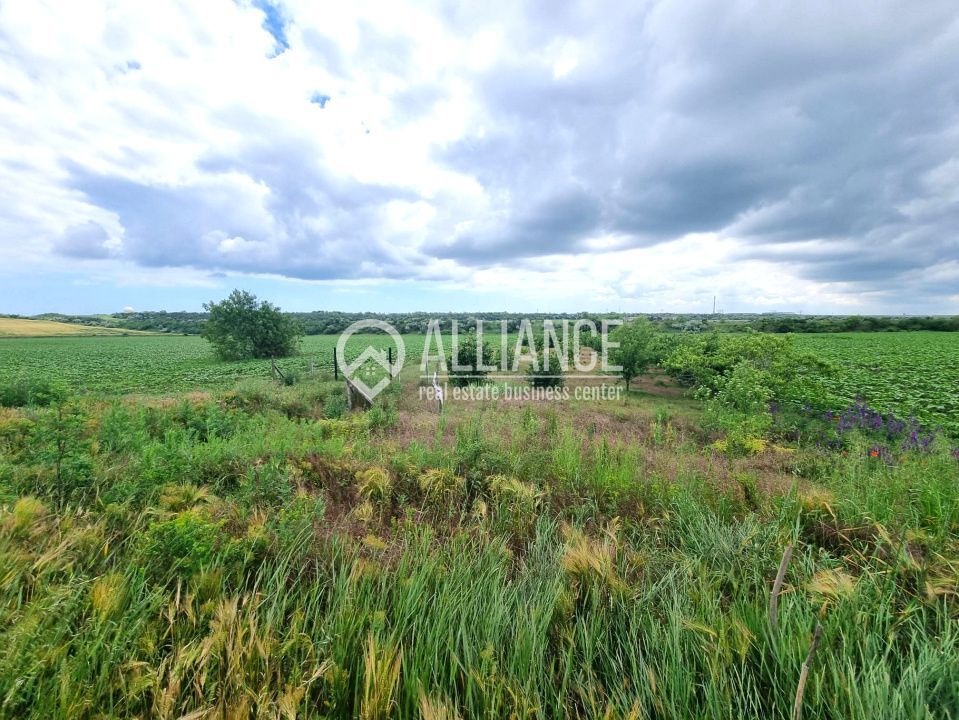 OVIDIU (COD 02)  - teren extravilan 4000 mp - Poză 3