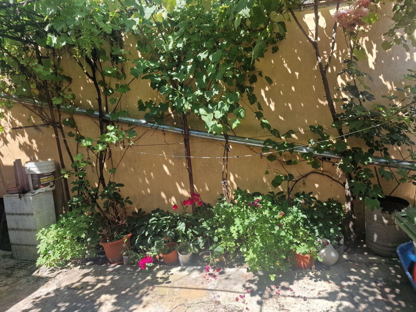 Vanzare Casa Individuala Rahova - Sos. Magurele - Poză 3