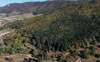 Aproape de Brașov, departe de agitație - Teren cu pădure în Cristian - Poză 9