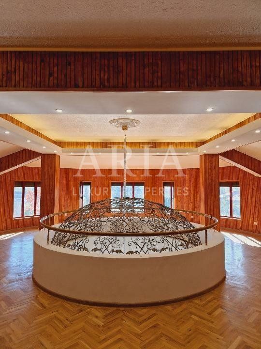 VANZARE VILA | HALA IN VLADICEASCA | SNAGOV | 10.500 MP TEREN - Poză 10