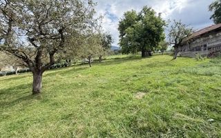 Teren intravilan 3.000 mp cu casă tradițională – Bran, sat Poarta - Poză 10