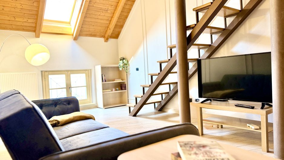 Apartament tip loft, 2 camere, Piața Unirii - Poză 1