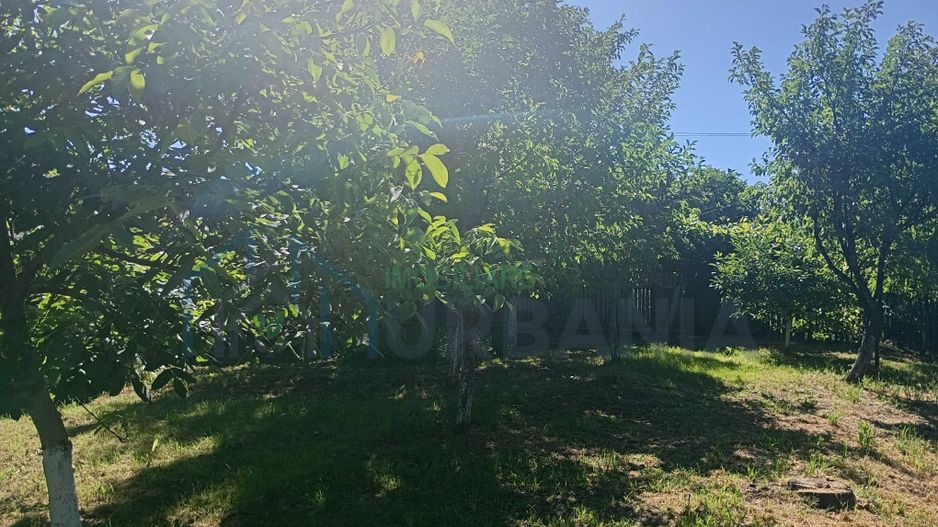Teren intravilan în centrul localității Cârniceni - Poză 3