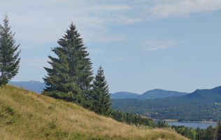 teren Colibita - 2 hectare - acces direct din drumul 173 D