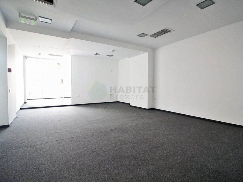 Cladire birouri inchiriata complet, zona Basarab - Titulescu - Poză 6