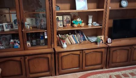 vand apartament 2 camere zona Alunisul Nou, paretr cvu terasa gaz tras