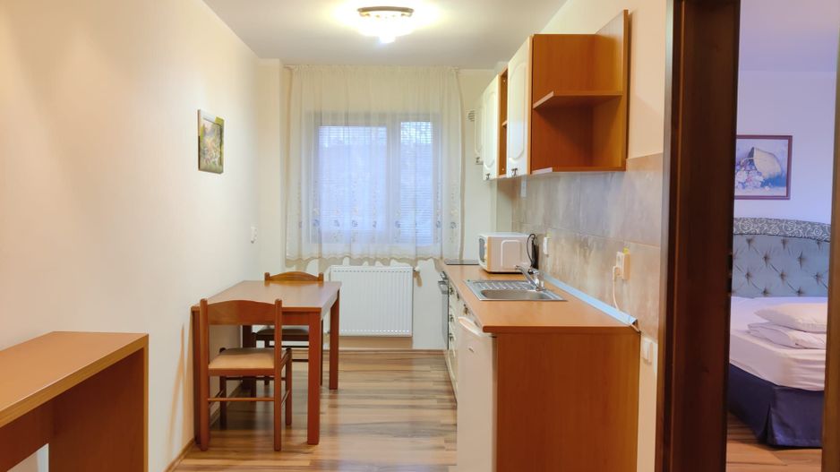 Apartament 1CAM 40 MP,  Buna Ziua, Str Trifoiului, parcare - Poză 6