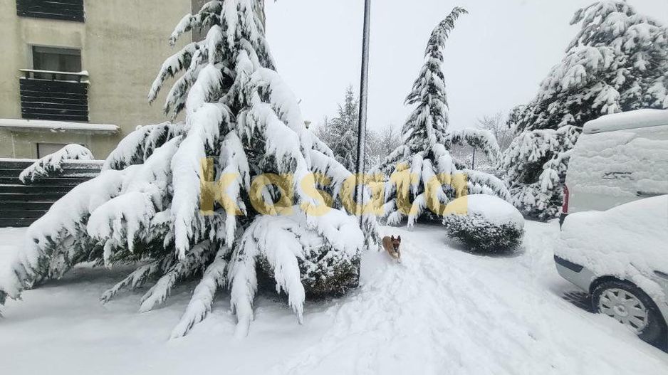 Apartament modern cu 3 camere | Natura Residence | Pipera - Poză 16