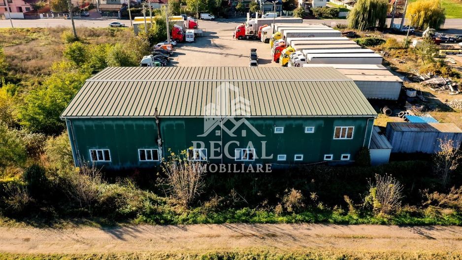 HALĂ INDUSTRIALĂ DE VÂNZARE – CRISTUR (Hunedoara – Deva) - Poză 2