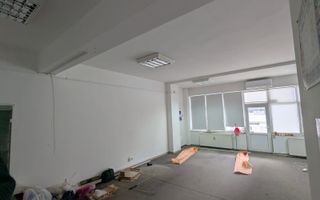 Inchiriez – Pacurari - spatii pentru birouri/alte activitati - Poză 2