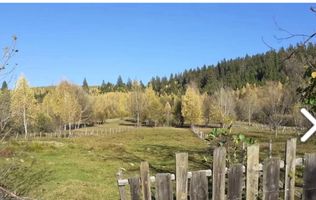 TEREN INTRAVILAN 2100 MP, LERESTI, PRET 42000 EURO