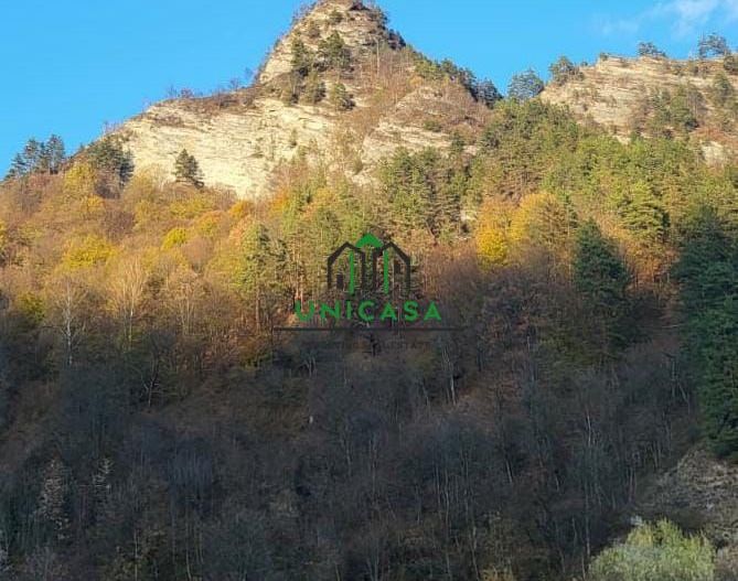 Bloc de apartamente - Brezoi - Poză 10