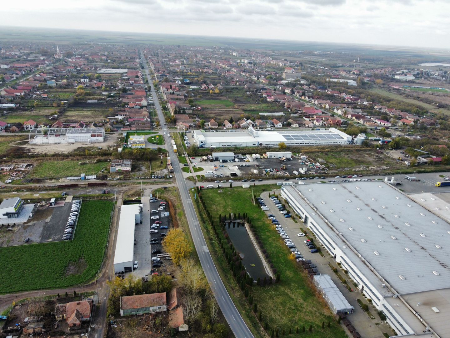 Teren destinatie industriala  Jimbolia - Poză 3
