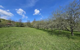 Casa si teren | Baile Govora|145.000euro - Poză 6