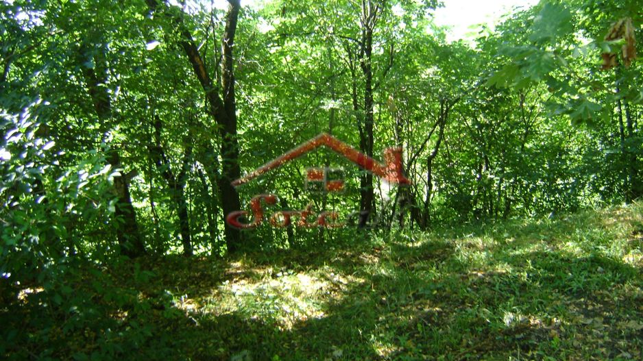 Teren de vânzare în Breaza– zonă liniștită, ideal pentru relaxare - Poză 19