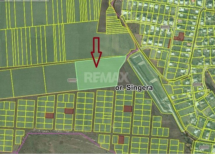 Teren Agricol de Vânzare - 162 Ari în or. Singera, Extravilan 🌿 - Poză 7