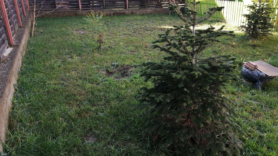 Casa Ghimbav - Poză 2