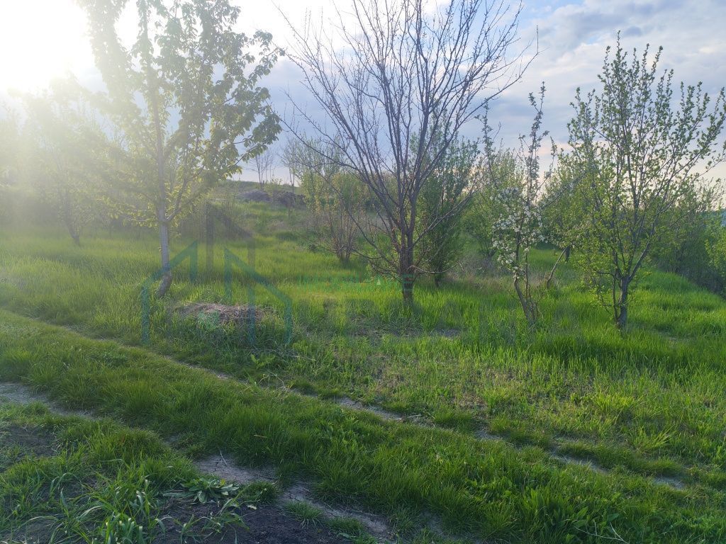 Teren intravilan de vânzare în sat Vânători, comuna Popricani, județul Iași - Poză 4