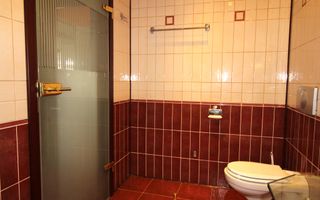 Casă individuală – Dumbrăvița, mobilata si utilata, spatii generoase. - Poză 9