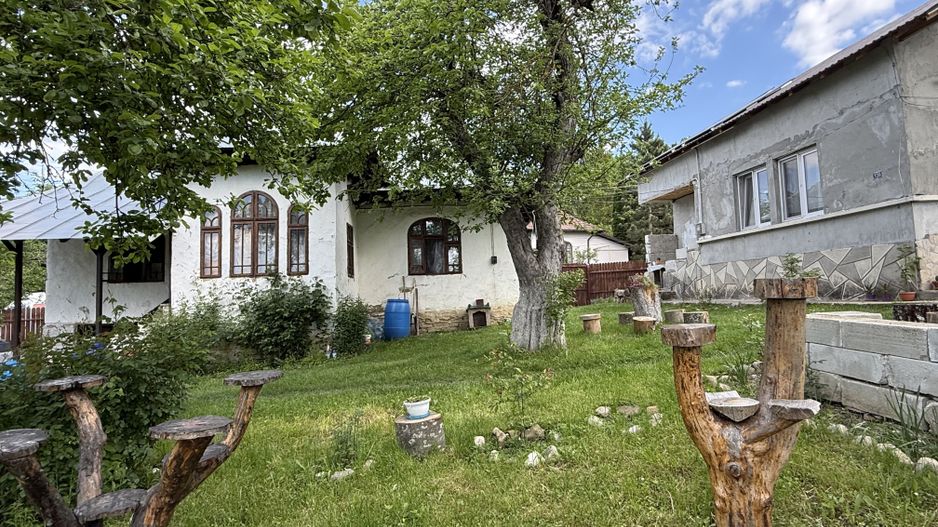 2 Case + teren 1390 mp langa parcul central Provita de Sus - Poză 21