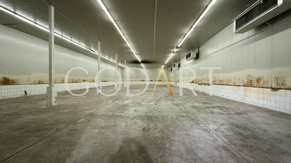 Industrial / Logistic Asset – Off-Market Opportunity - Poză 4