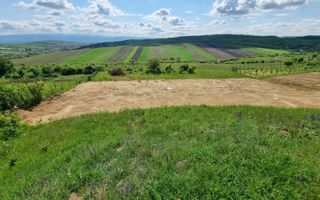 Teren Extravilan de Vânzare – 2.500 mp | Hamba | Zonă în Dezvoltare - Poză 3