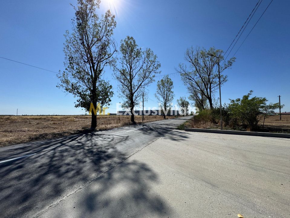 Teren extravilan de vânzare – Căteasca, Argeș | 27.201 mp | Deschidere 58,55 m - Poză 7