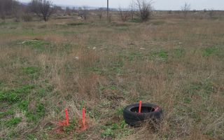 TEREN INTRAVILAN 306 mp – Palazu Mare, Constanta - Ocazie Unica - Poză 4