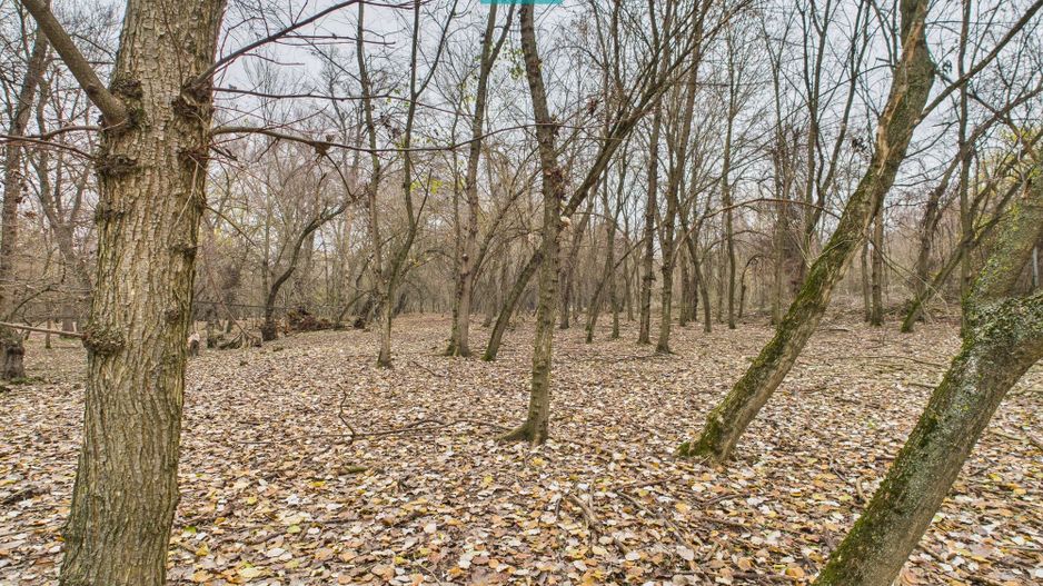 Teren pe malul Muresului- oportunitati multiple - Poză 24