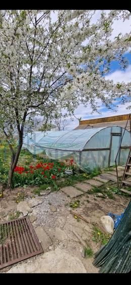 Vanzare casa P+1, anexe, curte, sat Verseni, comuna Miroslovesti, la asfalt - Poză 5