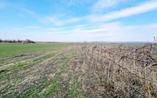CASA SCAESTI + TEREN - 5473 mp intravilan - Poză 2