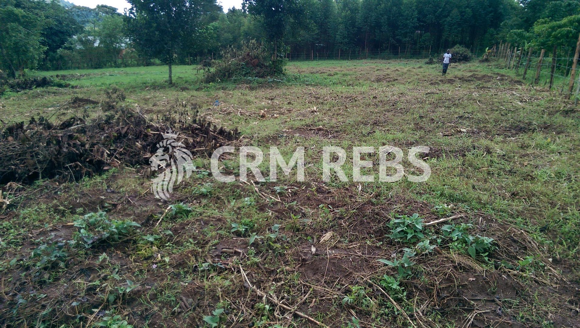 Teren cu PUD de vanzare! Pret excelent! - Poză 1