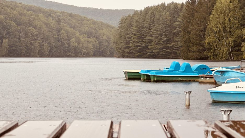 Un teren de vis cu deschidere la Lacul Trei Ape, Brebu Nou | Com 0% - Poză 9