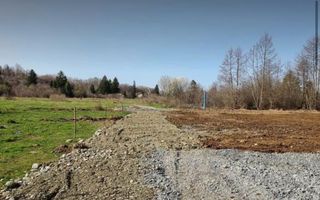 TEREN INTRAVILAN 4007 MP I VALEA AVRIGULUI - Poză 2