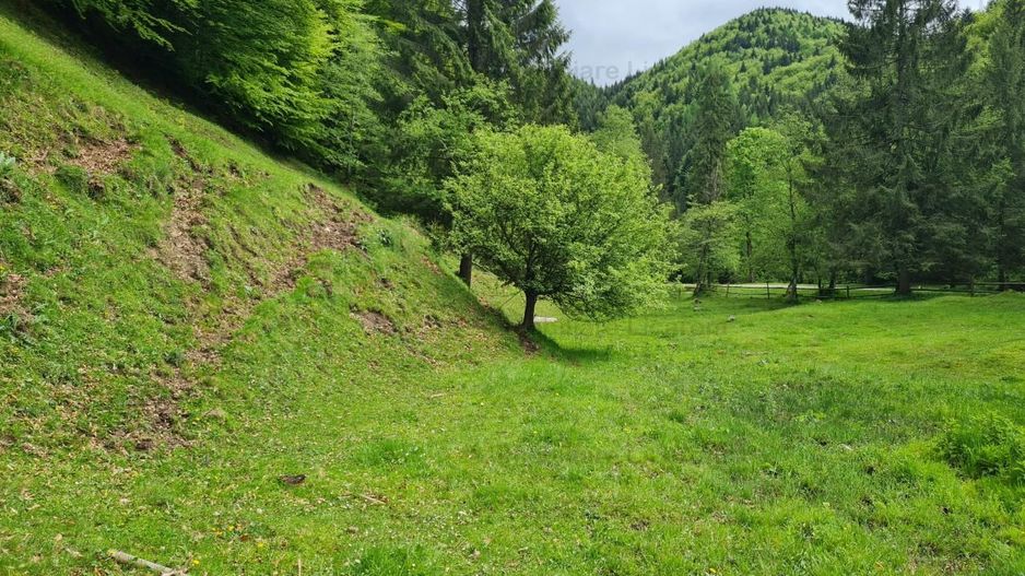 13005 mp teren faneata in Bran Simon cu fornt de 57 mp - Poză 11