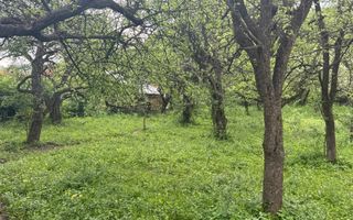 TEREN INTRAVILAN 7018 MP CAMPULUNG - Poză 31