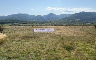 Teren extravilan | 7.800 mp | Saliste - Poză 5