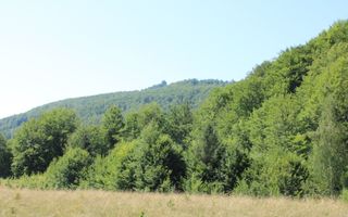 Terenuri Carpinis I parcelabil I Curent pe proprietati - Poză 7