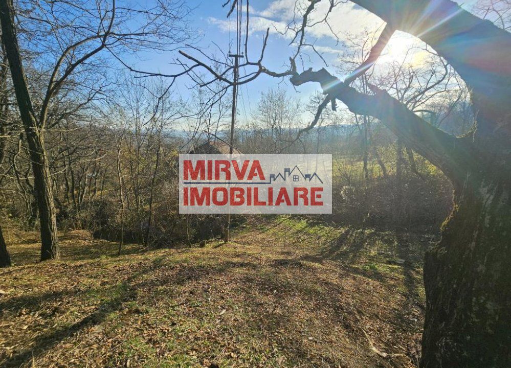 Vanzare casa plus anexa, teren 3843 mp, in Sat Pietriceaua - Poză 9