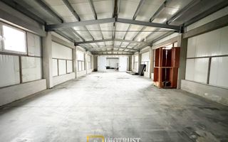 HALA INDUSTRIALA DE VANZARE | PECICA – ARAD - Poză 7