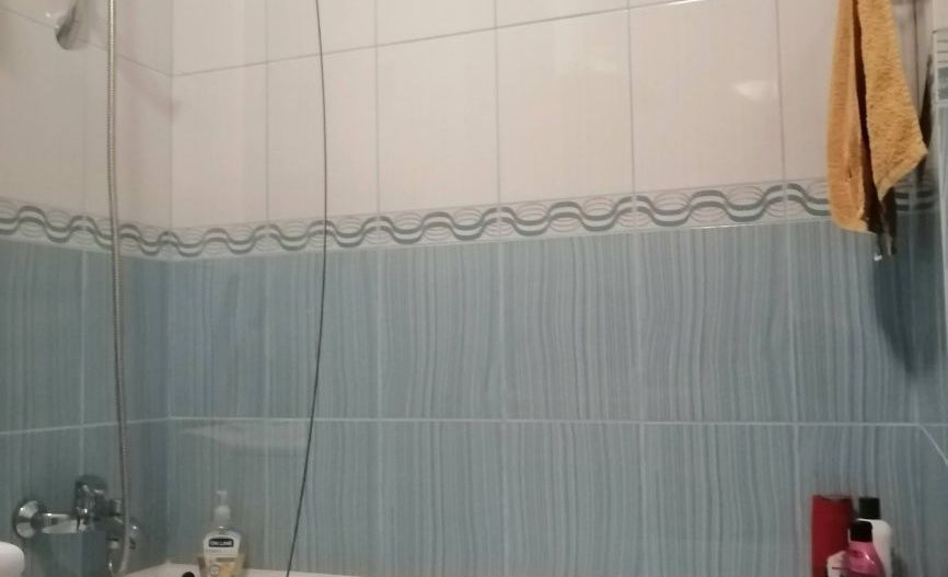 Apartment Sala Palatului/Cismigiu - Poză 8