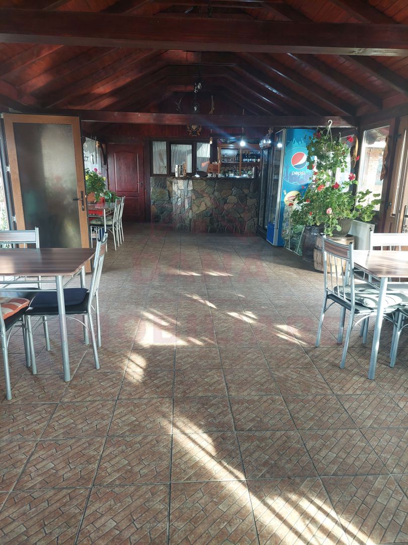 CASĂ\VILĂ DE VÂNZARE \COM. OBREJA\SAT IAZ\CARAȘ-SEVERIN - Poză 19