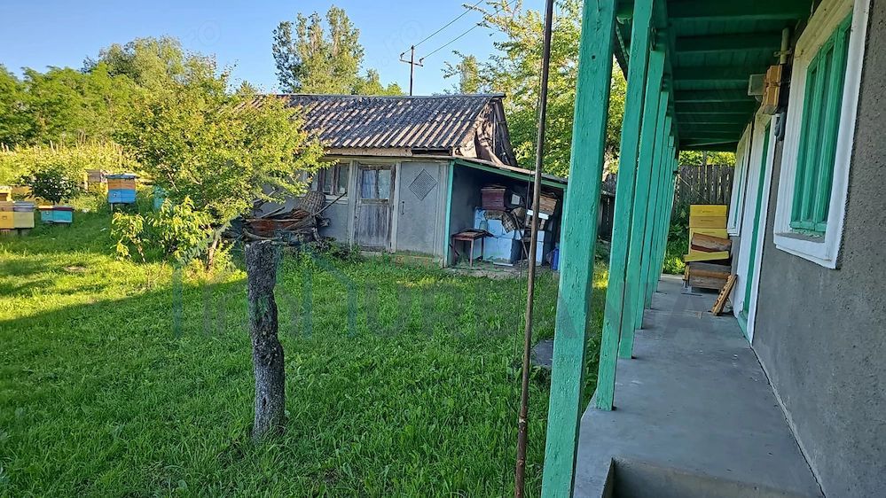Casă cu teren intravilan de 5000 mp, livadă tânără și vie productivă, în Roșu, comuna Răducăneni, județul Iași - Poză 5