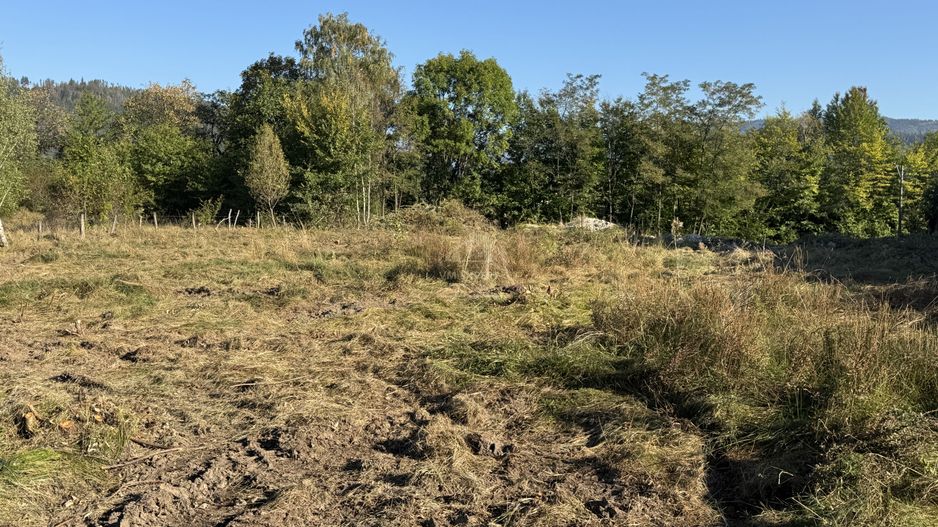 TEREN INTRAVILAN, CAMPULUNG,  2691 MP - Poză 29