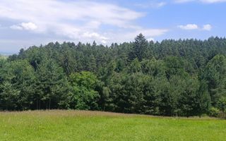 Teren cu priveliste,Mun. Sacele-Livezii - Poză 2