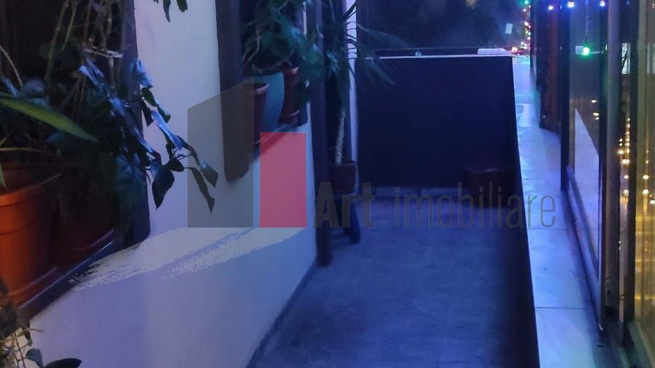 Vânzare casă Nițu Vasile - Fântâna Florilor - Poză 23